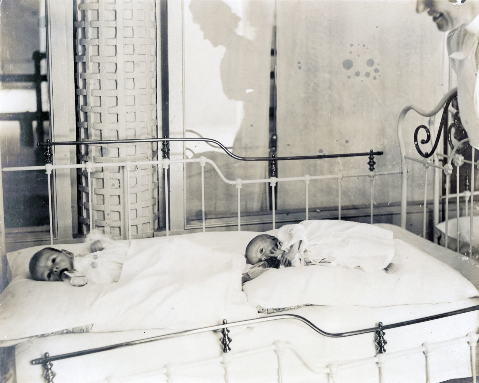Historical Society image of infants at 1904 World's Fair